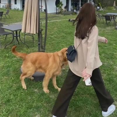 营救野猪队
