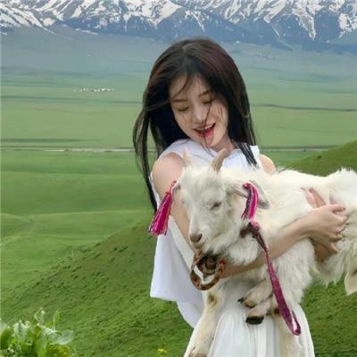 魔犬惊魂
